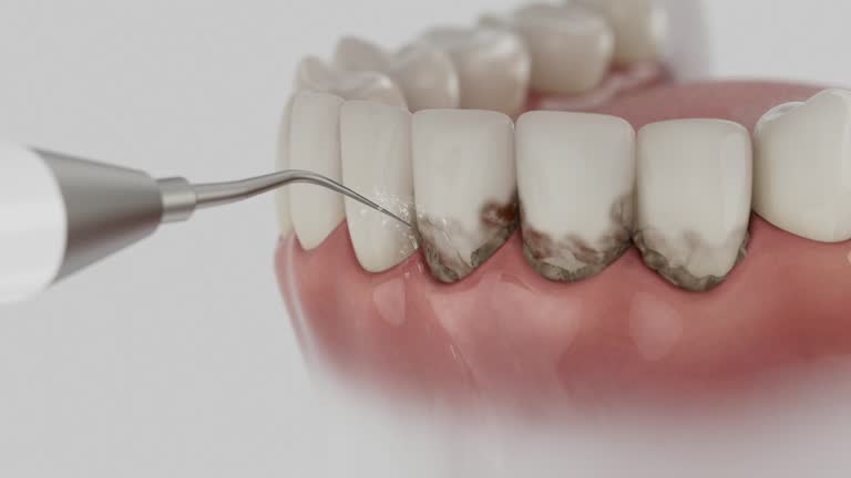 Reliable Dental contractor in Erwinville, LA by Dentist Open Now